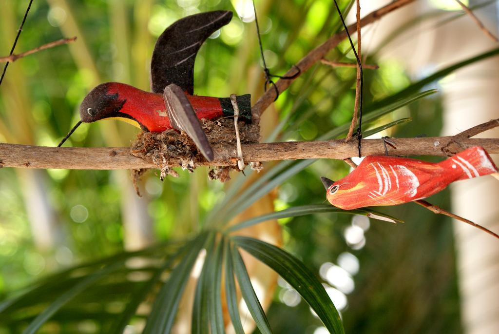 Pousada Do Beijaflor Florianópolis Eksteriør billede